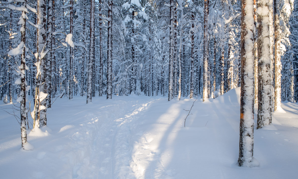 Ελατοχώρι Πιερίας 3